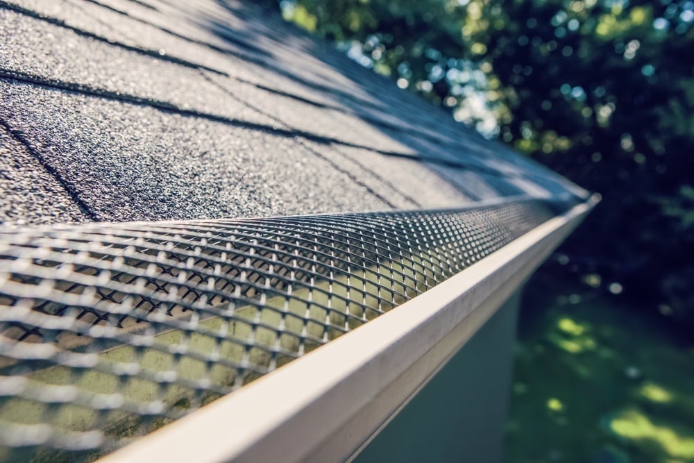 Close-up of a residential roof gutter with mesh guard and white trim, green foliage visible in background